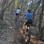Blog | NBLS Trail Works